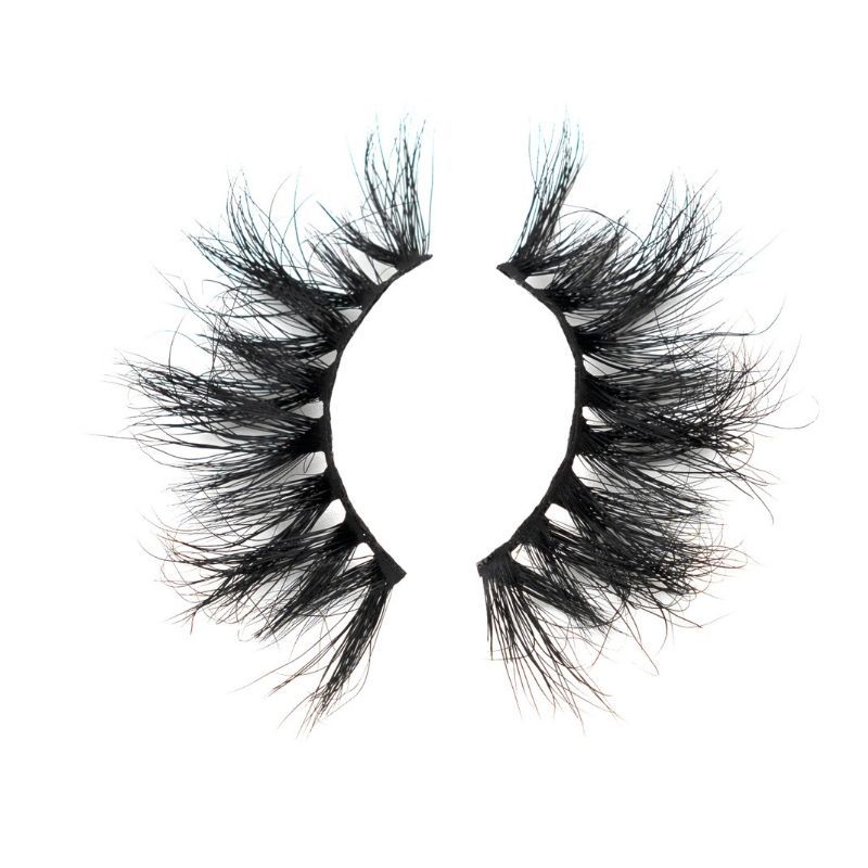 feb lash