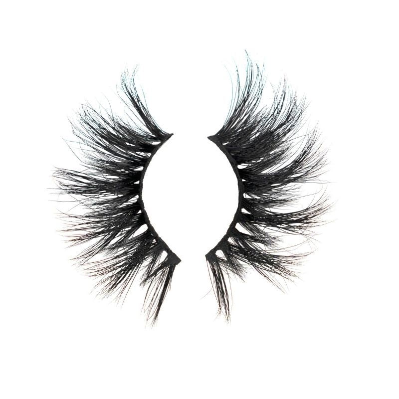 jan 3d lash