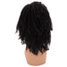 13X4 Jerry Curls Transparent Lace Front Wigs Back