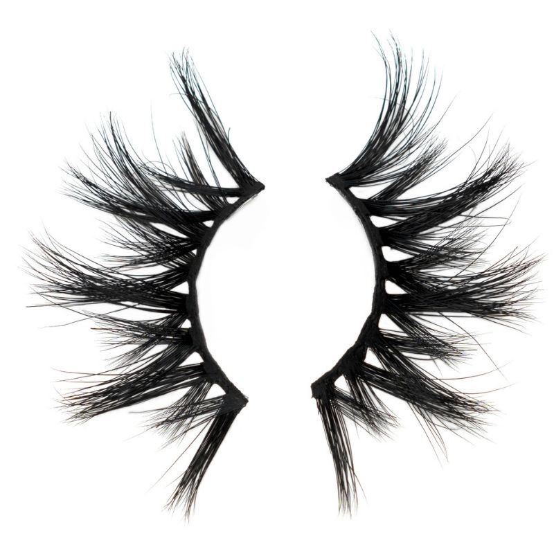july 3d lash