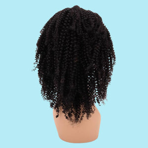 Extra Kinky Curl Wigs