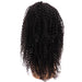 13x4 afro kinky front lace wig back view