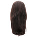 silky straight transparent closure wig back