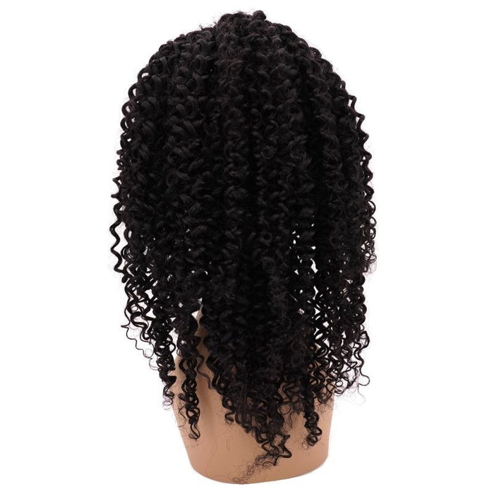 Tight Curl Transparent Lace Front Wig